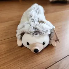 Item thumbnail for item ec312a25-8347-4e20-a0e6-2ae945eebfd5