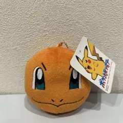 2026年最新】ヒトカゲ ポーチの人気アイテム - メルカリ