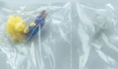 とびマス　ドラゴンボール孫悟飯