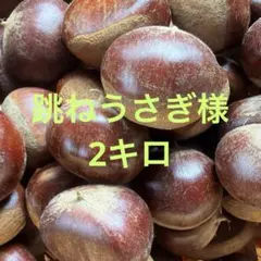 ぶーちゃんさま専用 生栗 2キロ - メルカリ