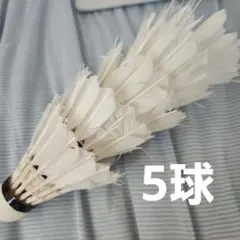 シャトル