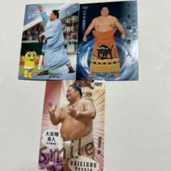 Item thumbnail for item 2a4142d6-6c4b-42db-9917-9fbe9d08228e