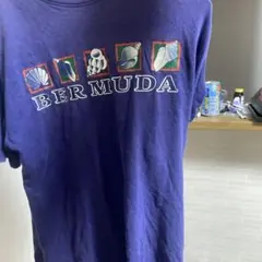 Item thumbnail for item 5bc712e2-15ef-4d67-aaaf-090ee33f872b