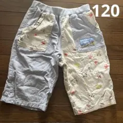 120 SLAPSLIP