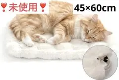 ✅ペット用ホットカーペット 猫用ホットカーペット 冬用 寒さ対策