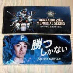 【おまけつき】ファイターズ　タオル２枚セット