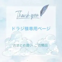 ドラジ様専用ページ リクエスト 21枚 まとめ売り