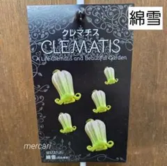 壺型クレマチス 粉引 正規品ラベル付き ポット苗 - メルカリ