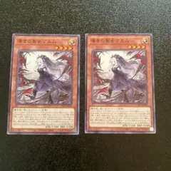 2025年最新】白の聖女エクレシアの人気アイテム - メルカリ