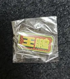 大相撲 国技館 ガチャ レトロゲーム風 しこ名キーホルダー 王鵬