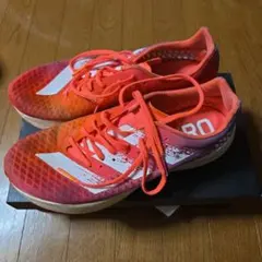 Item thumbnail for item 54ba0881-1d0c-43c3-a81d-7c9d8e3e3aa0