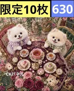 限定10枚！　犬 レアパネル生地　無くなり次第終了です