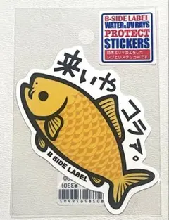 B-SIDE LABEL 鯉　来いや　コラァ　マシュキン