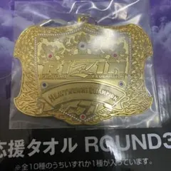 Item thumbnail for item ecd3a938-4793-47dc-afd7-f0bd02bd3bcf