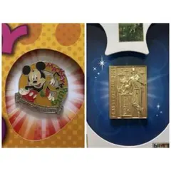 ディズニー JCBカード 特典 ピンバッジ