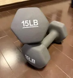 15LB ラバーコーティング ダンベル