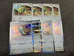 【匿名配送】 ノココッチ ノコッチ 各4枚