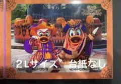 ディズニー　シー　ハロウィン　スペシャルフォト　2010 マスカレード　ドナデジ