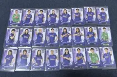 2026年最新】サンフレッチェ広島の人気アイテム - メルカリ