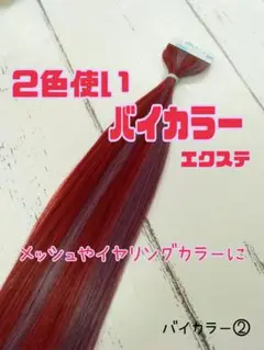 バイカラー②*10本シールエクステ