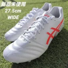 asics DS LIGHT ADVANCE WIDE 27.5cm