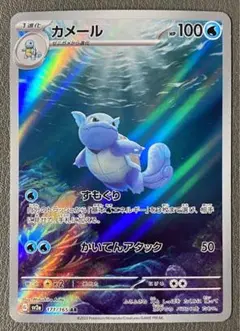 2025年最新】カメール arの人気アイテム - メルカリ