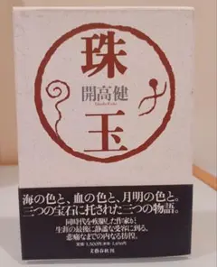 【美品】開高 健『珠玉』文藝春秋