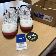 Item thumbnail for item 9797c02c-f9d1-445d-9fdf-5342a8d031b2