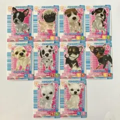 ワンタメ パピー カード パピヨン 4枚 - メルカリ