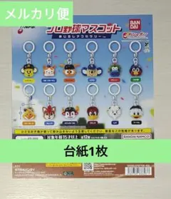 プロ野球マスコット めじるしアクセサリー 台紙 1枚