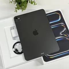 新品同様 iPad Pro M5 11インチ 256GB 2025年モデル