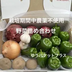 野菜詰め合わせ　栽培期間中農薬不使用　化学肥料不使用　ゆうパケットプラスのサムネイル