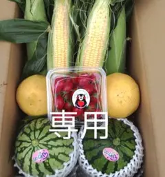 ちびみみ様専用ページです。