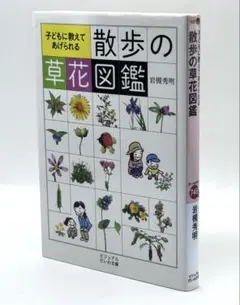 子どもに教えてあげられる 散歩の草花図鑑 / 棚23