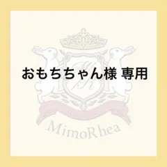 おもちちゃん様 専用★速達★