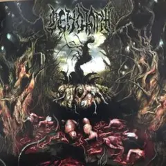 Putrescent Infectious Rabidity ／CENOTAPH