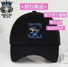 売り切り価格　イタリアンブレインロット　キャップ