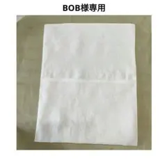 Item thumbnail for item e9770f2f-29e1-4708-9b87-19c8d26933fb