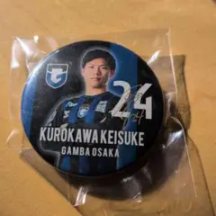 Item thumbnail for item d84f67a4-eb81-4ea0-a830-3307e9427494