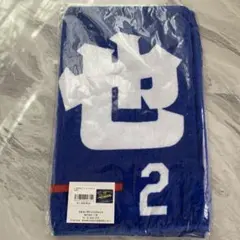 Item thumbnail for item f4a4a2a3-e21e-44b1-b902-85868a3fab6e