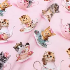 タイムレストレジャー