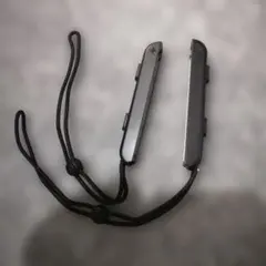 Nintendo Switch ジョイコン ストラップ 2個セット