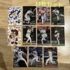 Calbee プロ野球チップス 2025 カードまとめ売り