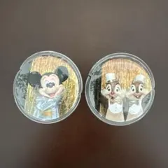 東京ディズニーリゾート公式缶バッチ　５０品 東京ディズニーリゾート ワンマンズ・ドリームⅡ 缶バッチ 2個セット