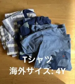 恐竜柄とストライプのTシャツ3枚セット