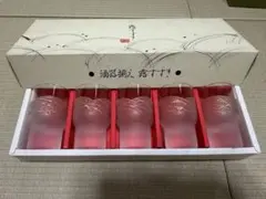 フロスト仕上げのガラスコップ5個セット