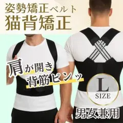 猫背矯正 姿勢サポーター 背筋ベルト 男女兼用 肩甲骨サポート 着脱簡単 姿勢