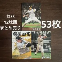 プロ野球　カード　カルビー　セパ12球団　まとめ売り　53枚
