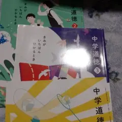 Item thumbnail for item c68bceb5-9562-4be9-b6f9-53b8f1d08bfa