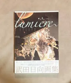 2026年最新】武田日向画集 lumiereの人気アイテム - メルカリ